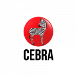 pinturas cebra